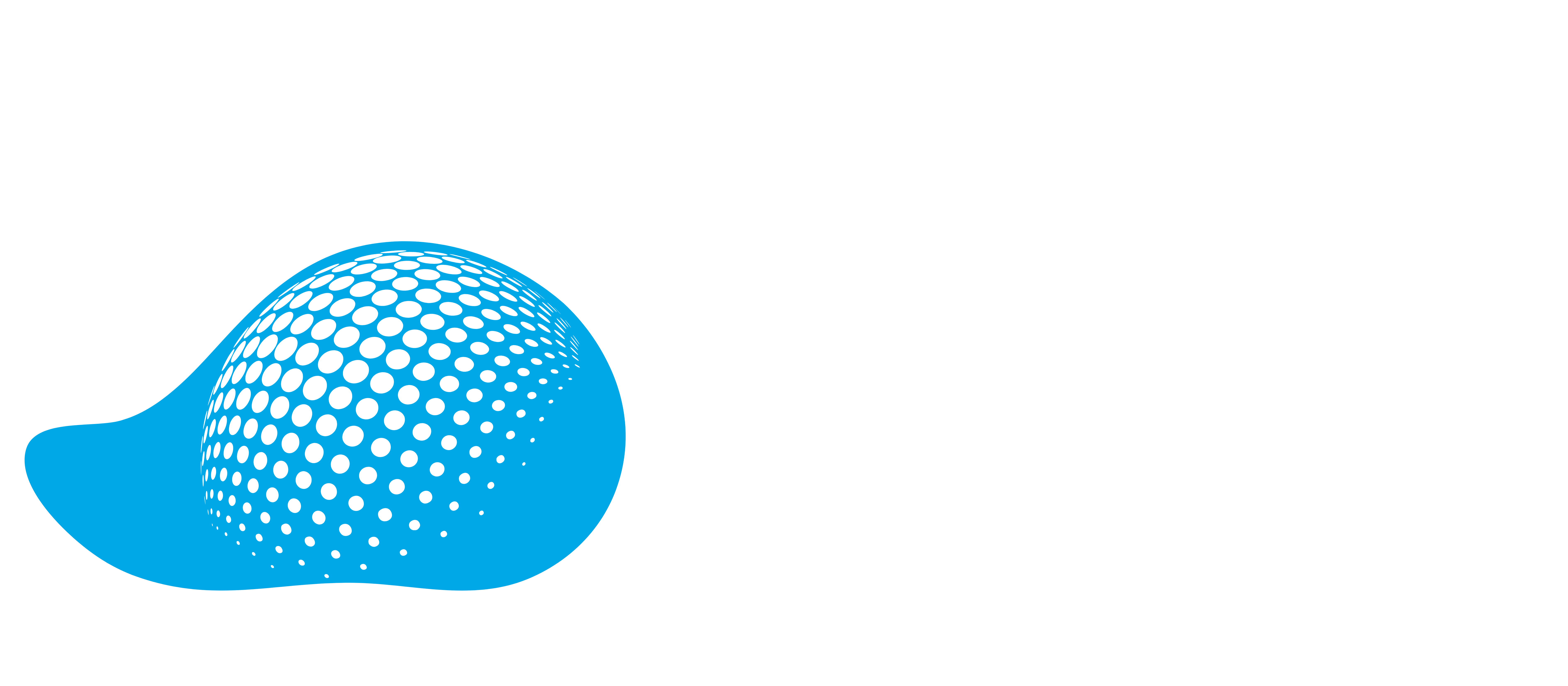 Ankara Yazılım®